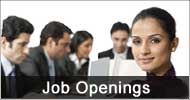 Wanted - Walk-In For Freshers!