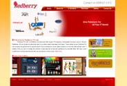 Redberry - IT Solutions UK